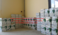 Chống thấm sân thượng bằng ELATANE 2060